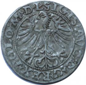 Obrazek 2 dla: Półgrosz 1563 Zygmunt II August Wilno