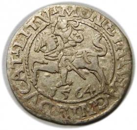 Obrazek 2 dla: Półgrosz 1564 Zygmunt II August Wilno