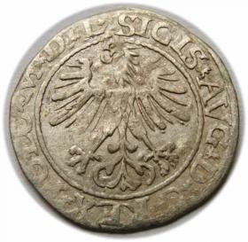 Obrazek dla: Półgrosz 1564 Zygmunt II August Wilno