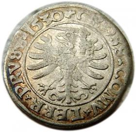Obrazek dla: Grosz pruski 1530 Zygmunt I Stary Prusy Królewskie Toruń