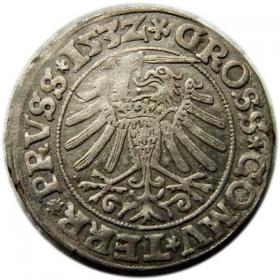 Obrazek 2 dla: Grosz pruski 1532 Zygmunt I Stary Prusy Królewskie Toruń