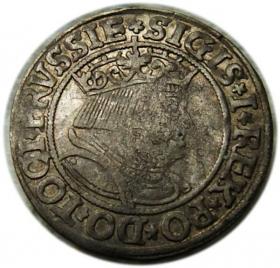 Obrazek dla: Grosz pruski 1534 Zygmunt I Stary Prusy Królewskie Toruń
