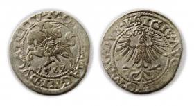 Obrazek dla: Półgrosz 1562 Zygmunt II August Wilno