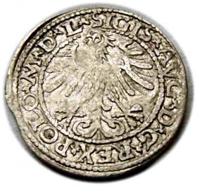 Obrazek 2 dla: Półgrosz 1563 Zygmunt II August Wilno
