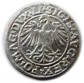 Obrazek 2 dla: Półgrosz 1547 Zygmunt II August Wilno
