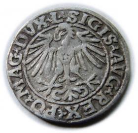 Obrazek 2 dla: Półgrosz 1548 Zygmunt II August Wilno