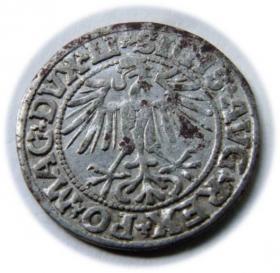 Obrazek 2 dla: Półgrosz 1549 Zygmunt II August Wilno