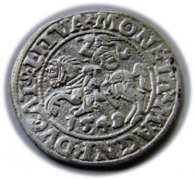 Obrazek dla: Półgrosz 1549 Zygmunt II August Wilno