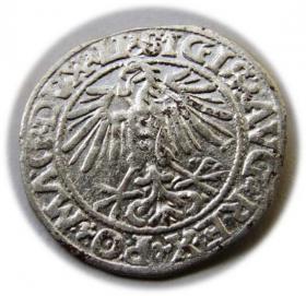 Obrazek 2 dla: Półgrosz 1549 Zygmunt II August Wilno