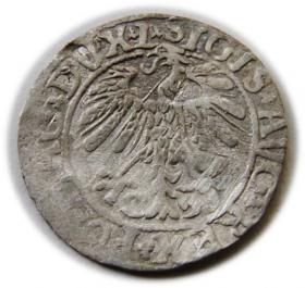 Obrazek 2 dla: Półgrosz 1558 Zygmunt II August Wilno