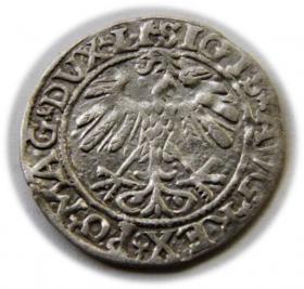 Obrazek 2 dla: Półgrosz 1558 Zygmunt II August Wilno