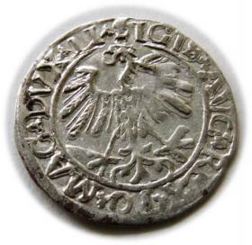 Obrazek 2 dla: Półgrosz 1559 Zygmunt II August Wilno