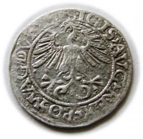 Obrazek 2 dla: Półgrosz 1561 Zygmunt II August Wilno