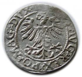 Obrazek 2 dla: Półgrosz 1561 Zygmunt II August Wilno