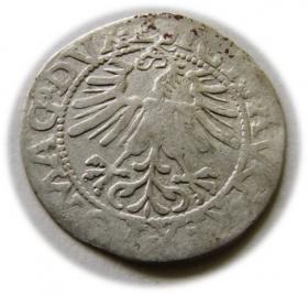Obrazek 2 dla: Półgrosz 1562 Zygmunt II August Wilno