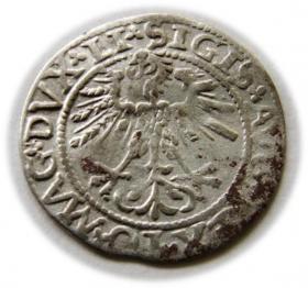 Obrazek 2 dla: Półgrosz 1562 Zygmunt II August Wilno
