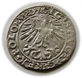 Obrazek 2 dla: Półgrosz 1563 Zygmunt II August Wilno