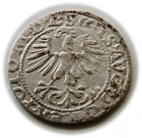 Obrazek 2 dla: Półgrosz 1564 Zygmunt II August Wilno