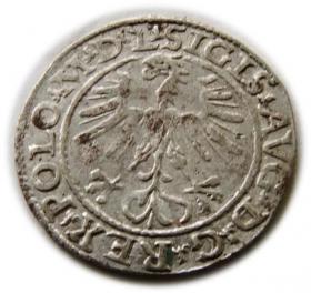 Obrazek 2 dla: Półgrosz 1564 Zygmunt II August Wilno