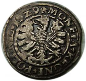 Obrazek 2 dla: Grosz 1529 Zygmunt I Stary Kraków