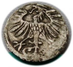 Obrazek 2 dla: Denar 1556 Zygmunt II August Wilno