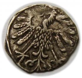 Obrazek 2 dla: Denar 1558 Zygmunt II August Wilno