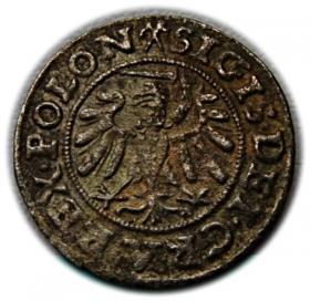 Obrazek 2 dla: Szeląg 1539 Zygmunt I Stary Gdańsk