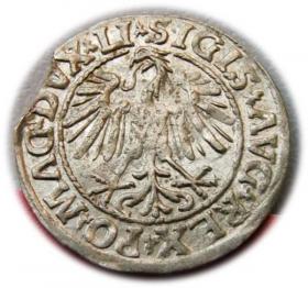 Obrazek 2 dla: Półgrosz 1547 Zygmunt II August Wilno