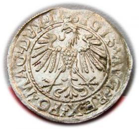 Obrazek 2 dla: Półgrosz 1547 Zygmunt II August Wilno