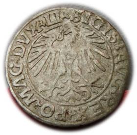Obrazek 2 dla: Półgrosz 1548 Zygmunt II August Wilno