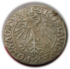 Obrazek 2 dla: Półgrosz 1548 Zygmunt II August Wilno