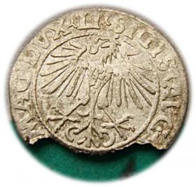 Obrazek 2 dla: Półgrosz 1548 Zygmunt II August Wilno