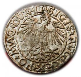 Obrazek 2 dla: Półgrosz 1548 Zygmunt II August Wilno