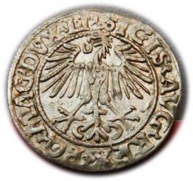 Obrazek 2 dla: Półgrosz 1548 Zygmunt II August Wilno