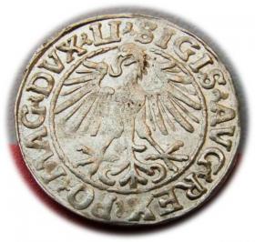 Obrazek 2 dla: Półgrosz 1548 Zygmunt II August Wilno