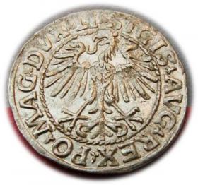 Obrazek 2 dla: Półgrosz 1548 Zygmunt II August Wilno
