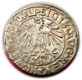 Obrazek 2 dla: Półgrosz 1549 Zygmunt II August Wilno