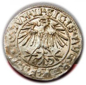 Obrazek 2 dla: Półgrosz 1549 Zygmunt II August Wilno