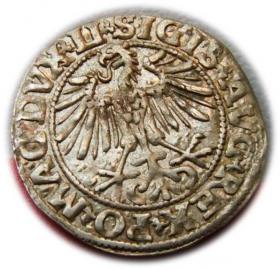 Obrazek 2 dla: Półgrosz 1549 Zygmunt II August Wilno