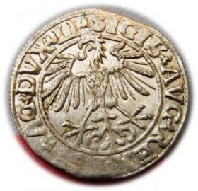 Obrazek 2 dla: Półgrosz 1550 Zygmunt II August Wilno