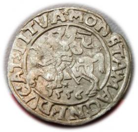 Obrazek dla: Półgrosz 1556 Zygmunt II August Wilno