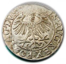 Obrazek 2 dla: Półgrosz 1557 Zygmunt II August Wilno