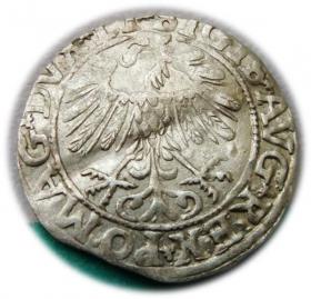 Obrazek 2 dla: Półgrosz 1557 Zygmunt II August Wilno