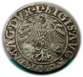 Obrazek 2 dla: Półgrosz 1558 Zygmunt II August Wilno