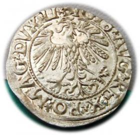 Obrazek 2 dla: Półgrosz 1558 Zygmunt II August Wilno