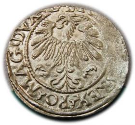 Obrazek 2 dla: Półgrosz 1559 Zygmunt II August Wilno