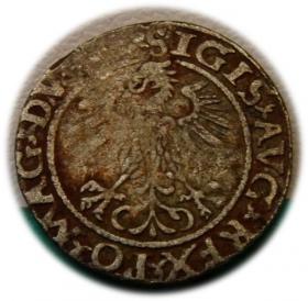 Obrazek 2 dla: Półgrosz 1560 Zygmunt II August Wilno