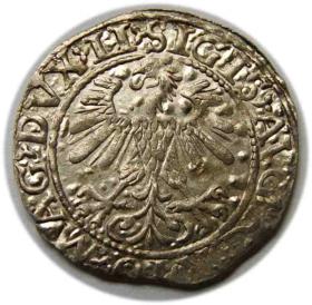 Obrazek 2 dla: Półgrosz 1560 Zygmunt II August Wilno