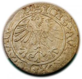Obrazek 2 dla: Półgrosz 1561 Zygmunt II August Wilno
