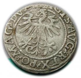 Obrazek 2 dla: Półgrosz 1561 Zygmunt II August Wilno